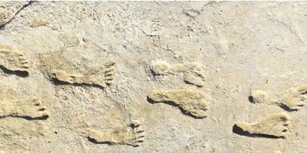 Confirmation: Human Footprints in New Mexico, 21,500 Years Old